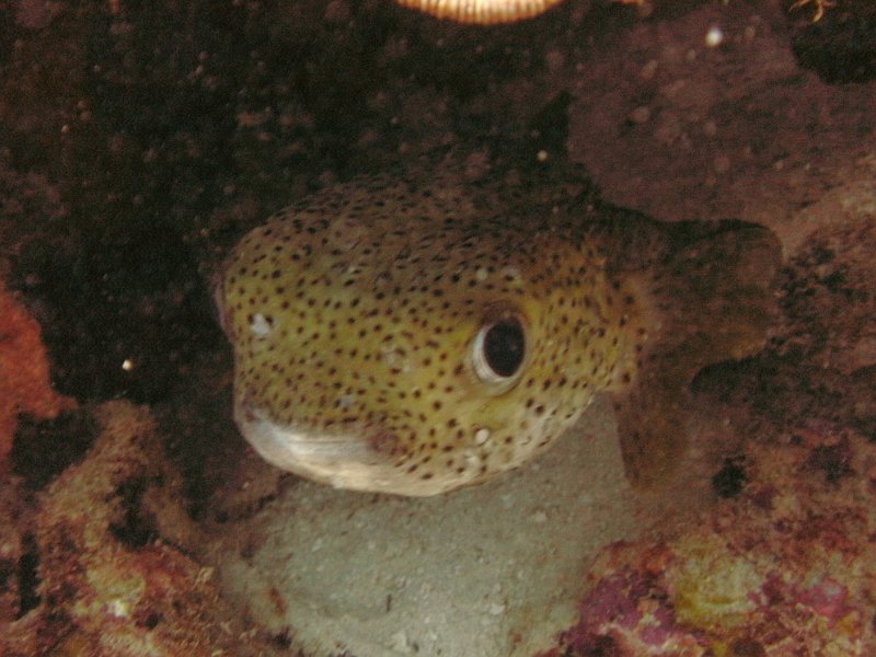 Curacao 04-12 180.JPG